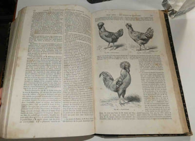 Le livre de la ferme et des maisons de campagne par une réunion d'agronomes, de savants et de praticiens, quatrième édition entièrement refondue. Paris. G. Masson - Ch. Delagrave. 1872.