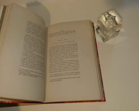 Première expédition de Jeanne d'Arc, le ravitaillement d'Orléans, nouveaux documents, plan du siège et de l'expédition, par M. Boucher de Molandon, ...
