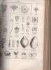 Traité général de botanique descriptive et analytique. - Première partie : abrégé d'organographie, d'anatomie et de physiologie. Deuxième partie : ...