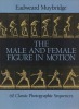 The male and female figure in motion. 60 classic photographic sequences.. MUYBRIDGE Eadweard ..//.. Eadweard Muybridge.