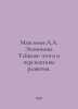 Maximov A.A. Taiwans Economy: Outcomes and Prospects for Development. In Russia. Maximov, Alexander Nikolaevich