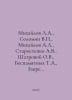 Mikhailov L.A., Solomin V., Mikhailov A.L., Starostenko A.V., Shatrova O.V., Be. Mikhailov, A.D.