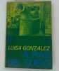 A ras del suel. Luisa Gonzalez