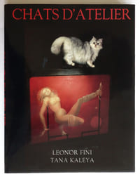 Chats d’atelier