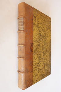 Monographie de la cathédrale de Nevers par M. l'abbé Crosnier