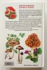 Guide des champignons de France et d’Europe. Courtecuisse (Régis) ; Duhem (Bernard)