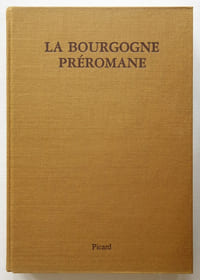 La Bourgogne préromane ; Construction, décor et fonction des édifices religieux 