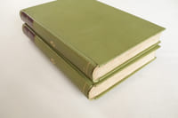 Le manuscrit vert