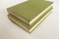 Le manuscrit vert