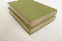 Le manuscrit vert