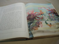 La Petite Ondine (Contes D'Andersen )