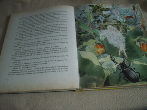 Le Petit Elfe Et Autres Contes. Andersen Hans Christian
