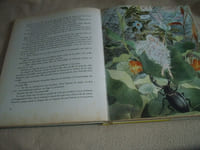 Le Petit Elfe Et Autres Contes