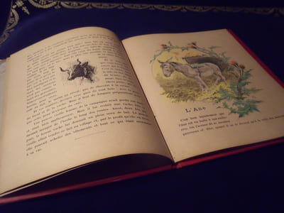 Les Animaux Domestiques