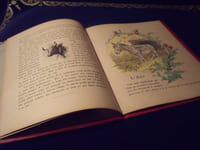 Les Animaux Domestiques