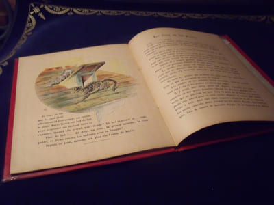 Les Animaux Domestiques