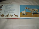 Les Animaux Domestiques. De Bruyne .J