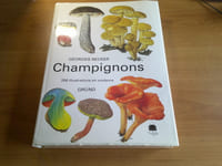 Champignons