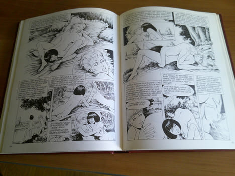 Chefs D'Œuvres De La Bande Dessiné Erotique . Collectif