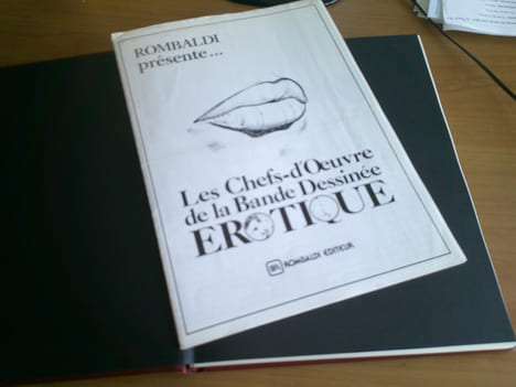 Chefs D'Œuvres De La Bande Dessiné Erotique . Collectif