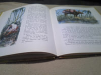 L'Eléphant Et L'Oiseau ,Contes De L'Inde .