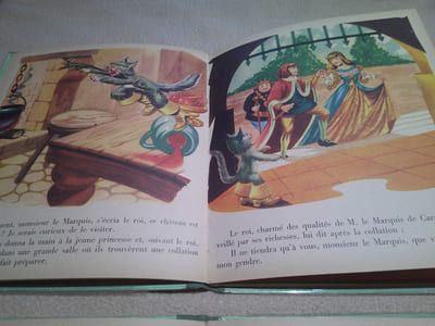 Chat Botté ,Petit Poucet ,Pinocchio ,Petit Chaperon Rouge ,Et autres contes .