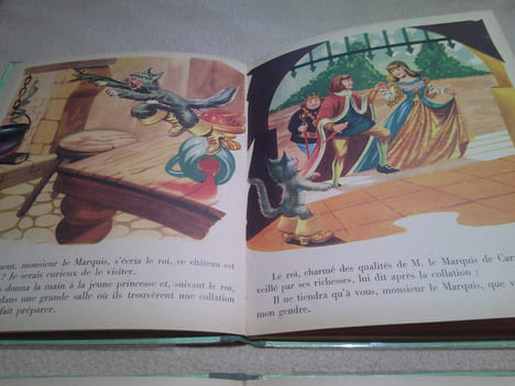 Chat Botté ,Petit Poucet ,Pinocchio ,Petit Chaperon Rouge ,Et autres contes .. Perrault ,Grimm ,Andersen ,Collodi et Autres . 