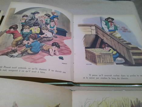 Chat Botté ,Petit Poucet ,Pinocchio ,Petit Chaperon Rouge ,Et autres contes .. Perrault ,Grimm ,Andersen ,Collodi et Autres . 