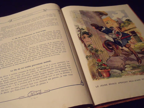 Contes De Perrault :Cendrillon-Peau d'Ane -Le Chat Botté -Le Petit Chaperon Rouge .. Perrault Charles