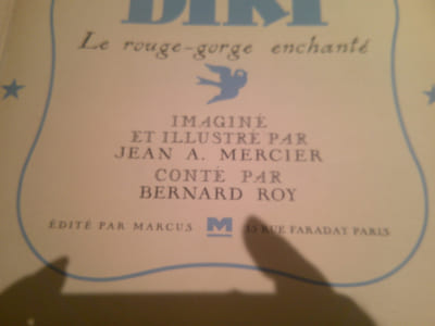 Diki Le Rouge-Gorge Enchanté