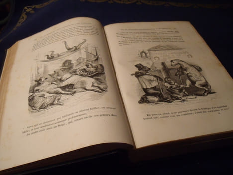 Vie Privée Et Publique Des Animaux. De Balzac ,Louis Baude ,Emile DE La Bedollière ,P.Bernard ,Gustave Droz ,Benjamin Franklin ,Jules Janin ,Edouard ...