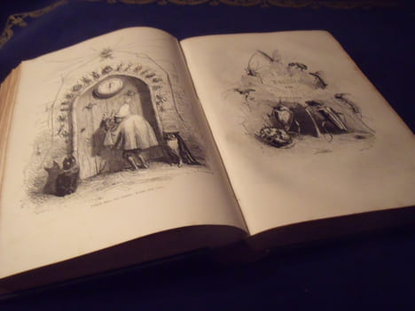 Vie Privée Et Publique Des Animaux. De Balzac ,Louis Baude ,Emile DE La Bedollière ,P.Bernard ,Gustave Droz ,Benjamin Franklin ,Jules Janin ,Edouard ...