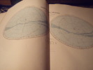 Nouvel Atlas Illustré De Géographie Universelle . Martineau .A.