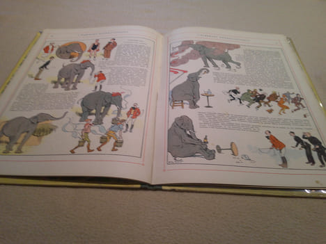 L'Elephant Houndji-Poundji. Lichtenberger André