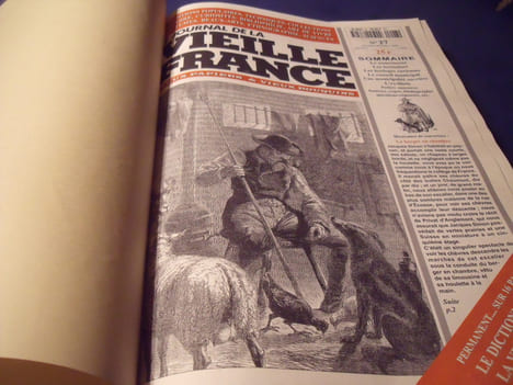 Le Journal De La Vieille France. Collectif