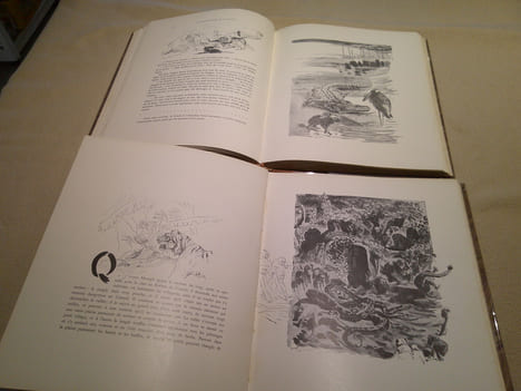 Le Livre De La Jungle et Le Second Livre De La Jungle .. Kipling Rudyard