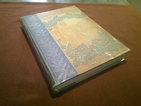 Paris pittoresque 1800 -1900 La vie ,Les Mœurs , Les Plaisir. Barron Louis