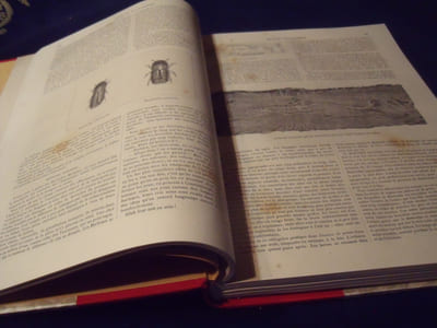 La Revue Illustrée Dans Les Deux Monde