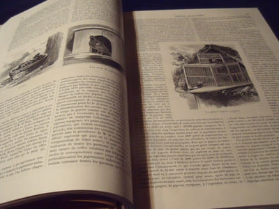 La Revue Illustrée Dans Les Deux Monde