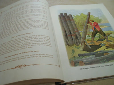 Aventures De Robinson Crusoé