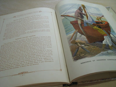 Aventures De Robinson Crusoé