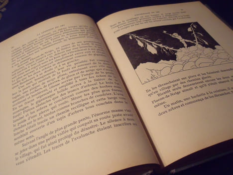 La Légende Du Ski. De Larigaudie .G.