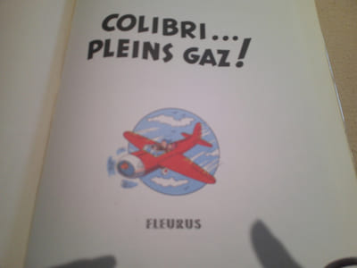 Les Nouvelles Aventures De Sylvain Et Sylvette : Colibri Plein Gaz