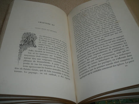 La Terre Sainte - Voyage Dans L'Arabie Pétrée , La Judée ,La Samarie ,La Galilée Et La Syrie .. J.J.Bourassé ( Abbé)