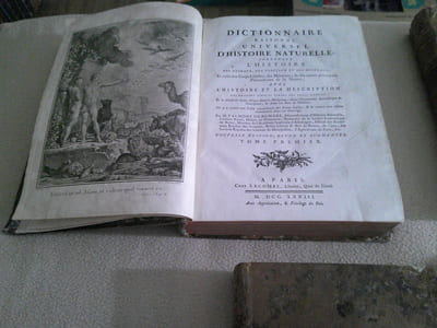 Dictionnaire Raisonné D'Histoire Naturelle 