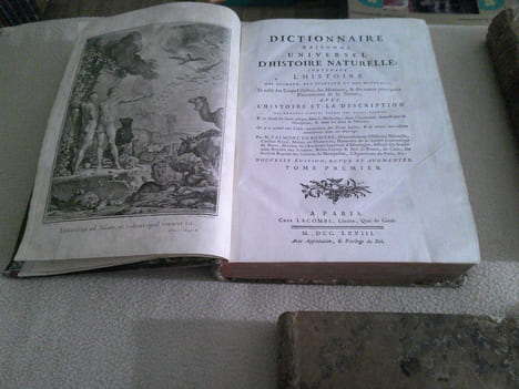 Dictionnaire Raisonné D'Histoire Naturelle . Valmont De Bomare Jacques Christophe