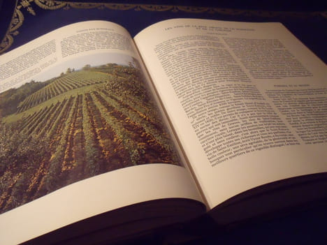 Le Grand Livre Du Vin. Collectif Sous La Direction De Joseph Lobé