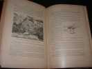 Les Robinsons Suisses. Illustr&eacute; de 94 gravures. GROS (Jules)