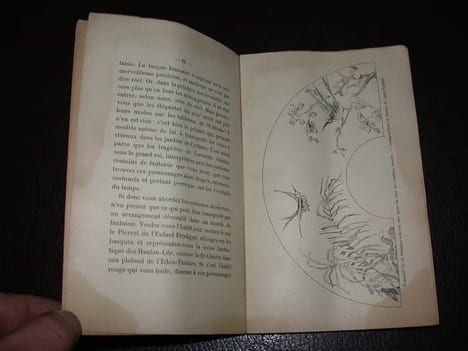Traité pratique des peintures sur étoffes. Eventails sur soie peau gaze etc - Peintures décoratives sur velours satin tissus divers. ROBERT (Karl)