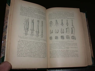 Cours Elementaire de Zoologie
